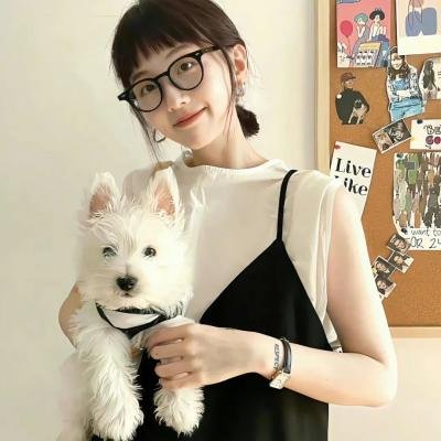 双面妖姬 电影封面