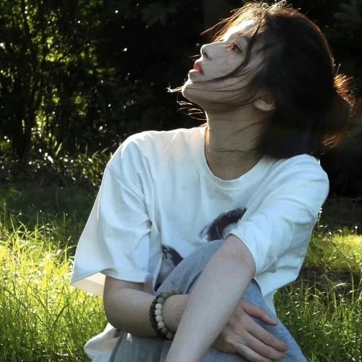 火车上的女士 电影封面
